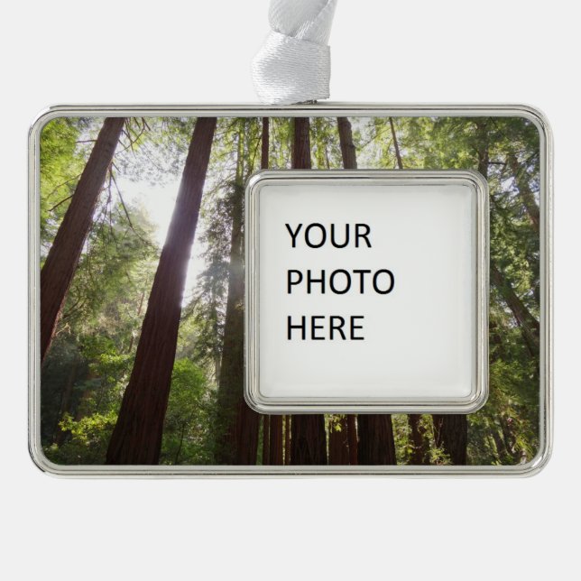 Bis zum Redwoods am Morgen Rahmen-Ornament Silber (Vorderseite)