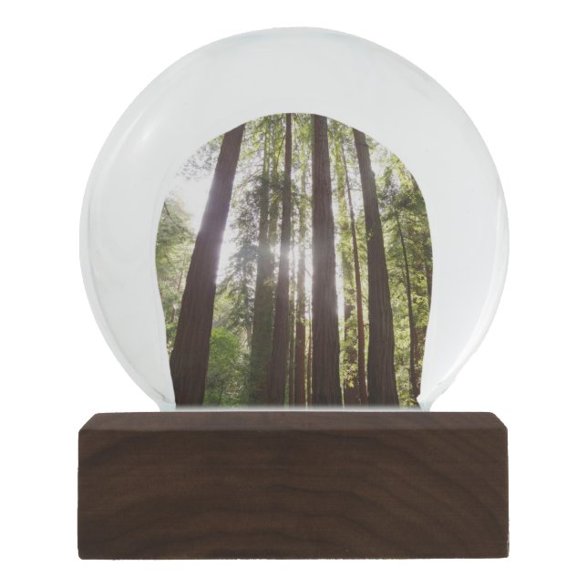 Bis zum Redwoods am Morgen Schneekugel (Vorderseite)