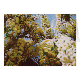 Bis zur Wisteria 2011