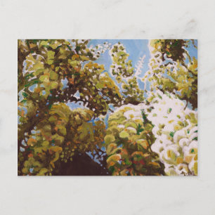 Bis zur Wisteria 2011 Postkarte