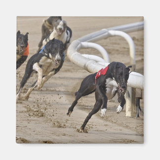 Bis zur Zeile laufen Magnet