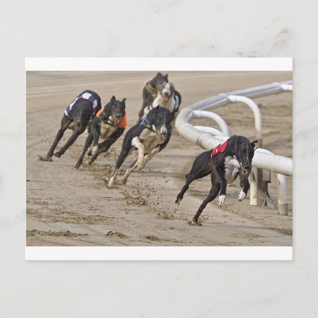 Bis zur Zeile laufen Postkarte (Vorderseite)