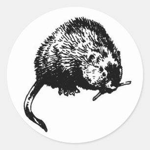 Bisamratte (Illustration) Runder Aufkleber