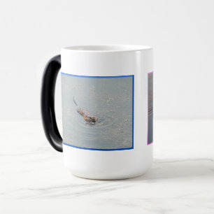 Bisamratten-Metamorphose-Tasse Verwandlungstasse