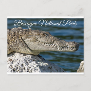 Biscayne Bay Park Miami Beach Florida Postkarte