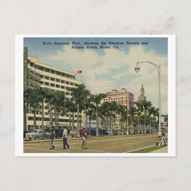 Biscayne Blvd. Hotels, Miami, Florida Vintag Postkarte (Vorderseite)