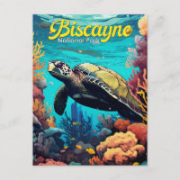 Biscayne Nationalpark Schildkröte Illustration Ret