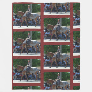 Bischofs-Maultier-Tagesparade von 2018 Fleecedecke