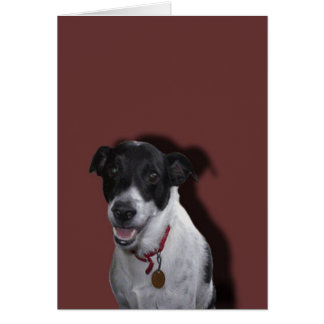 Biscuit ?