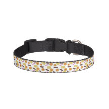 Biscuit Hundehalsband