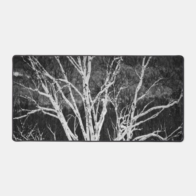 Biset Blanc En Hiver Photo Noir Et Blanc (Recto)