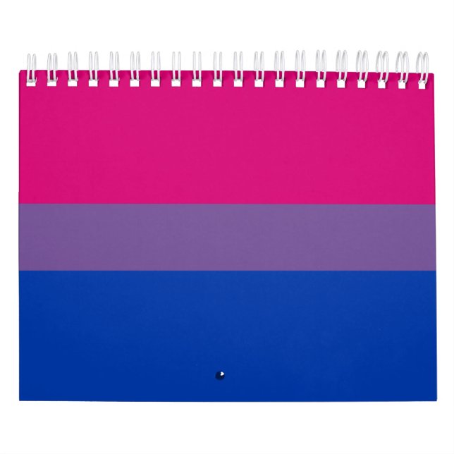 Bisexuelle Stolperflagge Kalender (Titelbild)