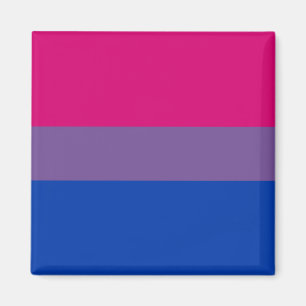 Bisexuelle Stolperflagge Magnet