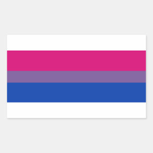 Bisexuelle Stolperflagge Rechteckiger Aufkleber