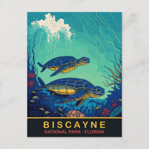 Biskaya, Schildkröten, Floraida, Reisen Postkarte