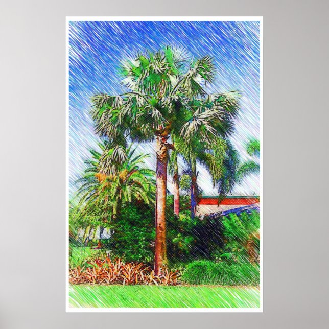 Bismarckia nobilis palme, farbstift zeichnend poster (Vorne)