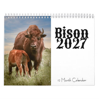 Bison 2027 12-Monats-Kalender Kalender