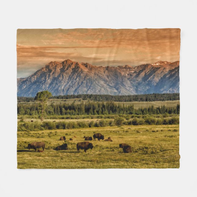 Bison am Sonnenaufgang Fleecedecke (Vorderseite (Horizontal))