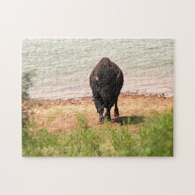 Bison am Wasser (Horizontal)
