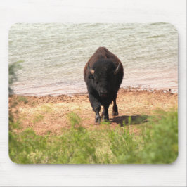 Bison am Wasser Mousepad