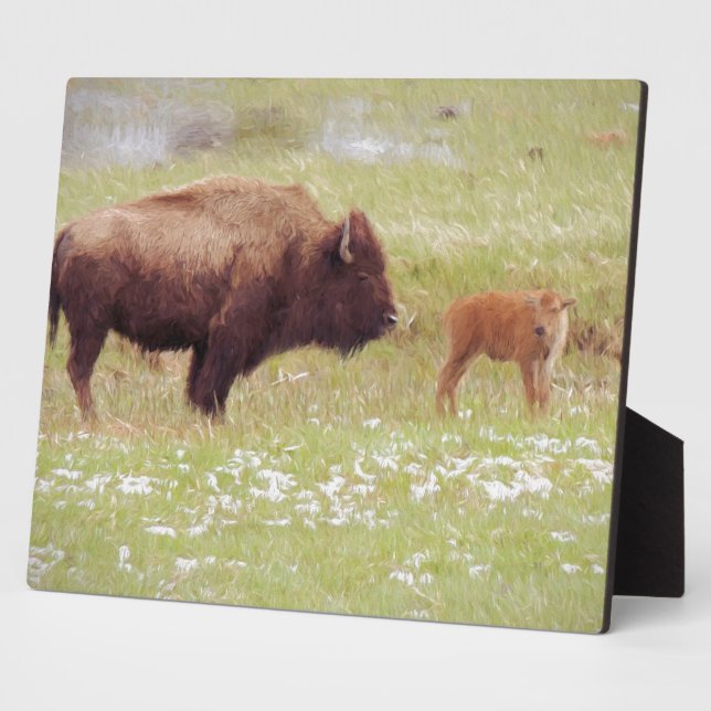 Bison and Calf in Yellowstone Fotoplatte (Seite)