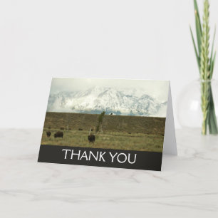 Bison at Grand Teton Nationalpark Fotografie Dankeskarte