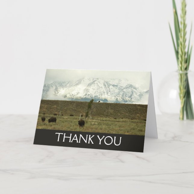 Bison at Grand Teton Nationalpark Fotografie Dankeskarte (Vorderseite)