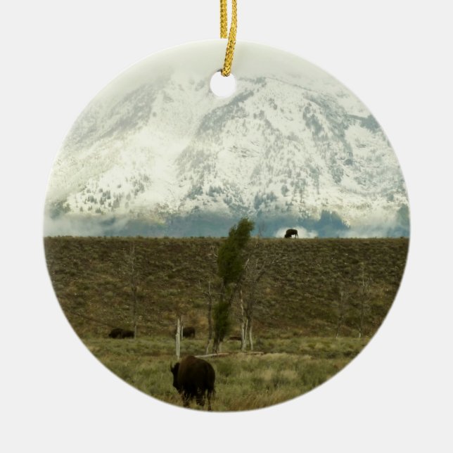 Bison at Grand Teton Nationalpark Fotografie Keramikornament (Vorne)