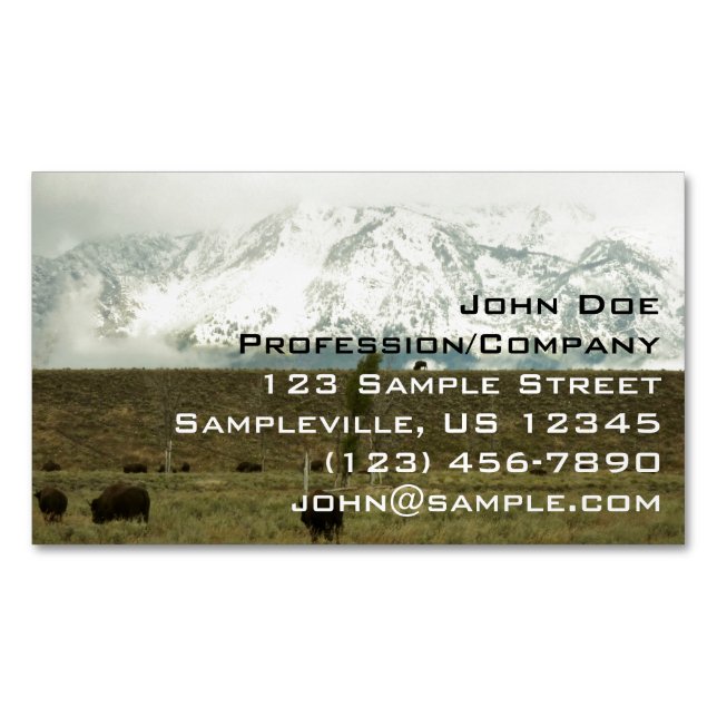 Bison at Grand Teton Nationalpark Fotografie Magnetische Visitenkarte (Vorderseite)