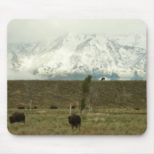 Bison at Grand Teton Nationalpark Fotografie Mousepad (Vorne)