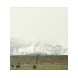 Bison at Grand Teton Nationalpark Fotografie Notizblock