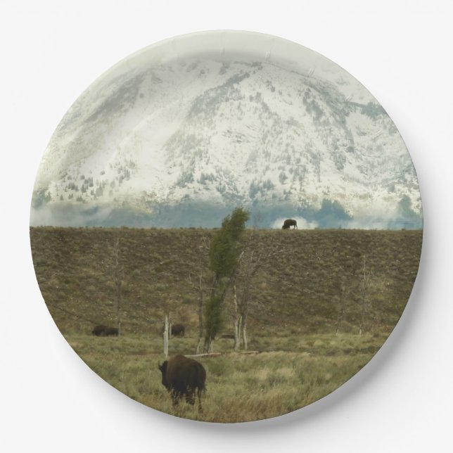 Bison at Grand Teton Nationalpark Fotografie Pappteller (Vorderseite)