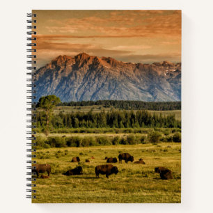 Bison at Sunrise Notizbuch