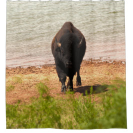 Bison At The water Duschvorhang