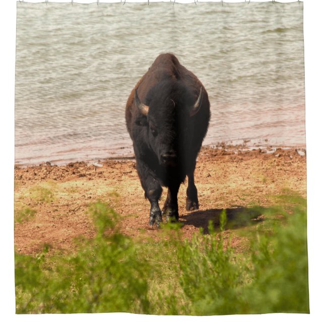 Bison At The water Duschvorhang (Vorderseite)