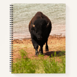Bison at the Water Notizbuch