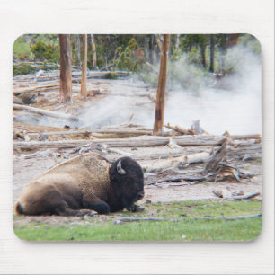 Bison at Yellowstone Nationalpark Wyoming Mousepad