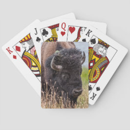 Bison (auch Buffalo genannt) durch eine große Lins Spielkarten