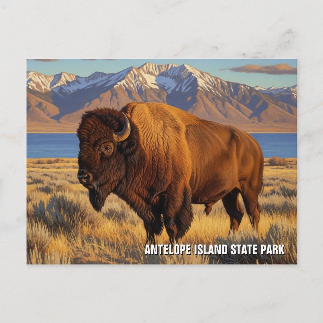 Bison auf der Insel Antelope Staat Park Utah Postkarte (Vorderseite)