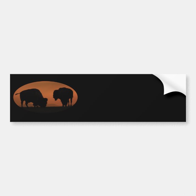 Bison Autoaufkleber (Vorne)