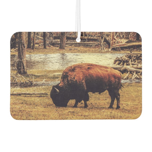 Bison Autolufterfrischer (Vorderseite)