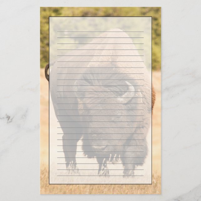Bison Briefpapier (Vorderseite)
