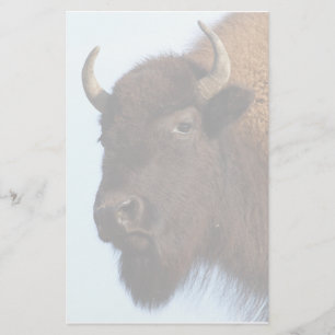 Bison Briefpapier