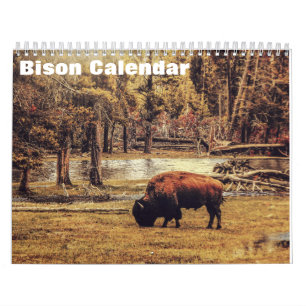 Bison Buffalo 2025 Kalender