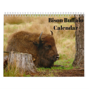 Bison Buffalo 2026 Kalender
