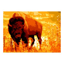 Bison Buffalo Artwork