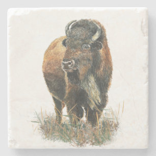 Bison Buffalo Pinacoteca Casa Serodine Steinuntersetzer