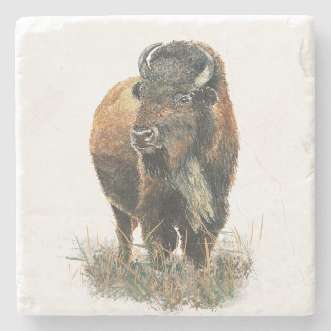 Bison Buffalo Pinacoteca Casa Serodine Steinuntersetzer (Vorderseite)