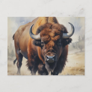 Bison/Buffalo Postkarte