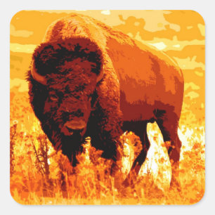 Bison/Buffalo-Square-Aufkleber Quadratischer Aufkleber
